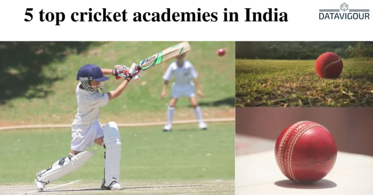 Top 5 cricket academy in India